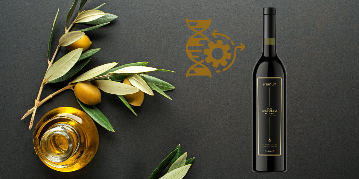 longevity öl von meinvitalium - hoher polyphenolgehalt