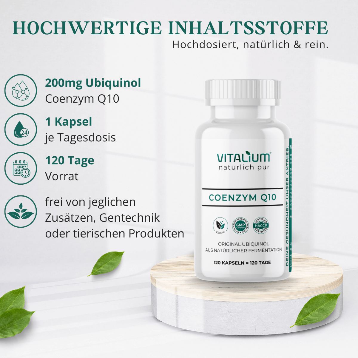 Coenzym Q10: Inhaltsstoffe und Verzehrempfehlung im Überblick