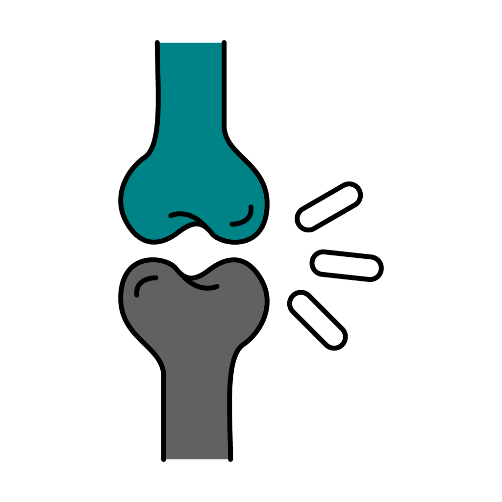 Symbol Knochen & Gelenke: Gelenk zwischen zwei Knochen