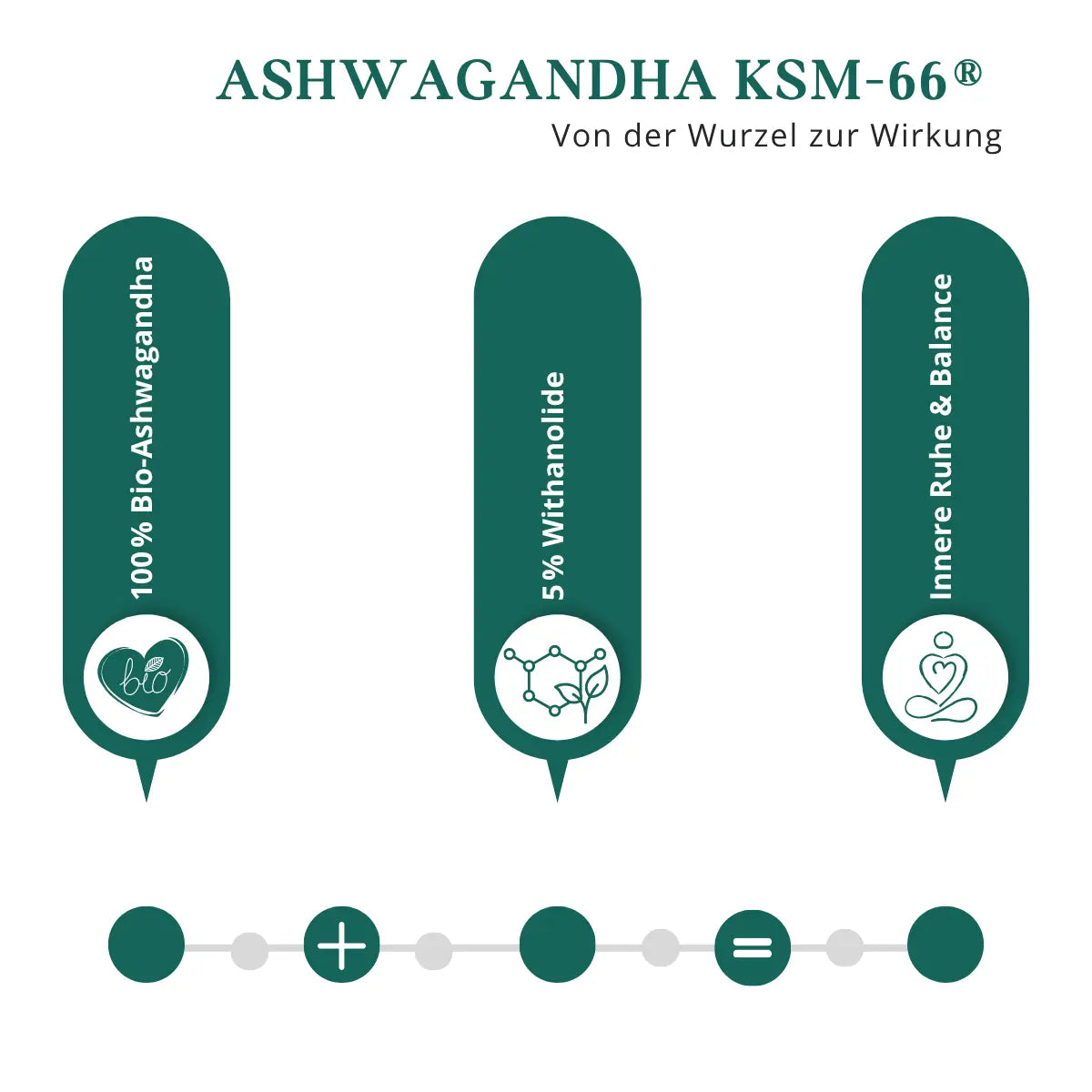 KSM-66® Ashwagandha-Extrakt aus der Wurzel erklärt