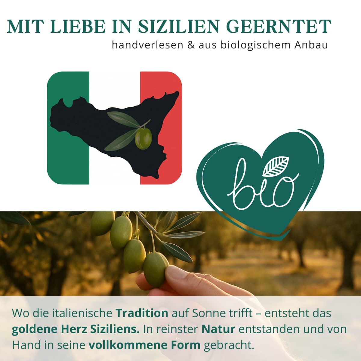 Natives Bio-Olivenöl extra: Polyphenolgehalt und Portionsvorschlag