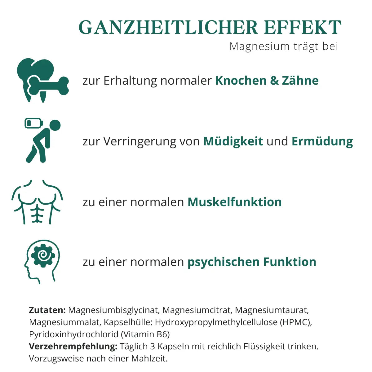 Magnesium trägt zu einer normalen Muskelfunktion, Funktion des Nervensystems und zum Energiestoffwechsel bei