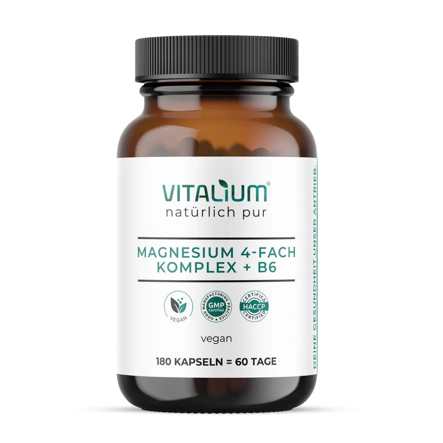 Magnesium 4-fach Komplex + B6 von meinVitalium, Dose mit Verpackung