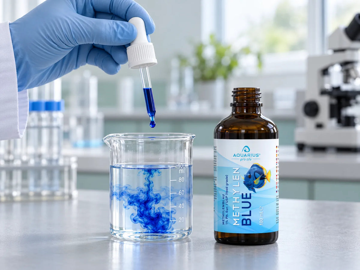 Hand mit Laborhandschuh tropft Methylenblau-Lösung mit der Pipette in ein Becherglas mit Wasser, daneben die Braunglasflasche