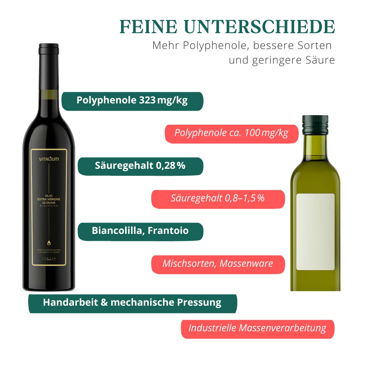 Mechanisch kaltgepresstes Olivenöl aus handverlesenen Oliven – unverfälschte Qualität