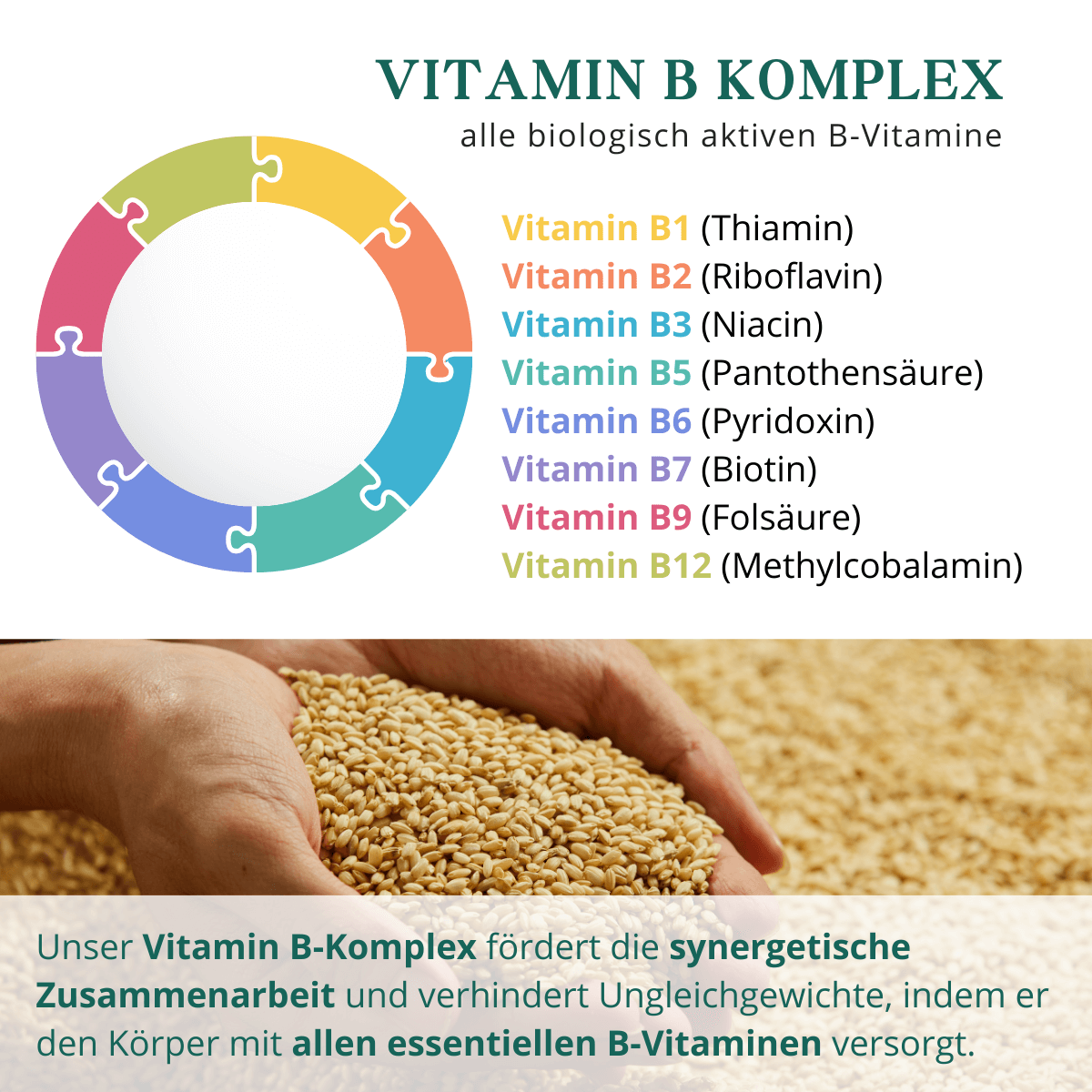 Übersicht der acht B-Vitamine im Vitamin B Komplex