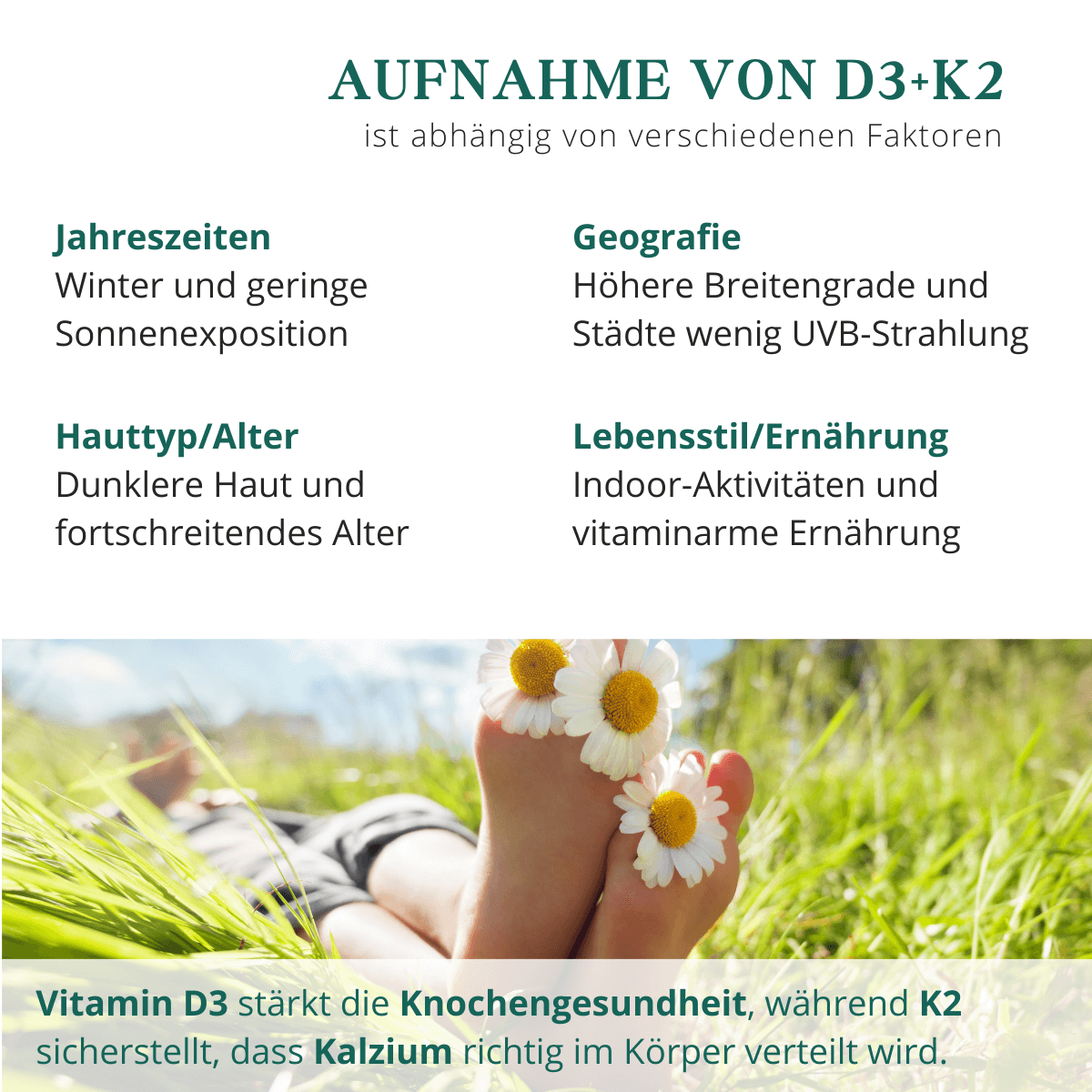 Vitamin D3 und Vitamin K2 als K2VITAL® im Überblick